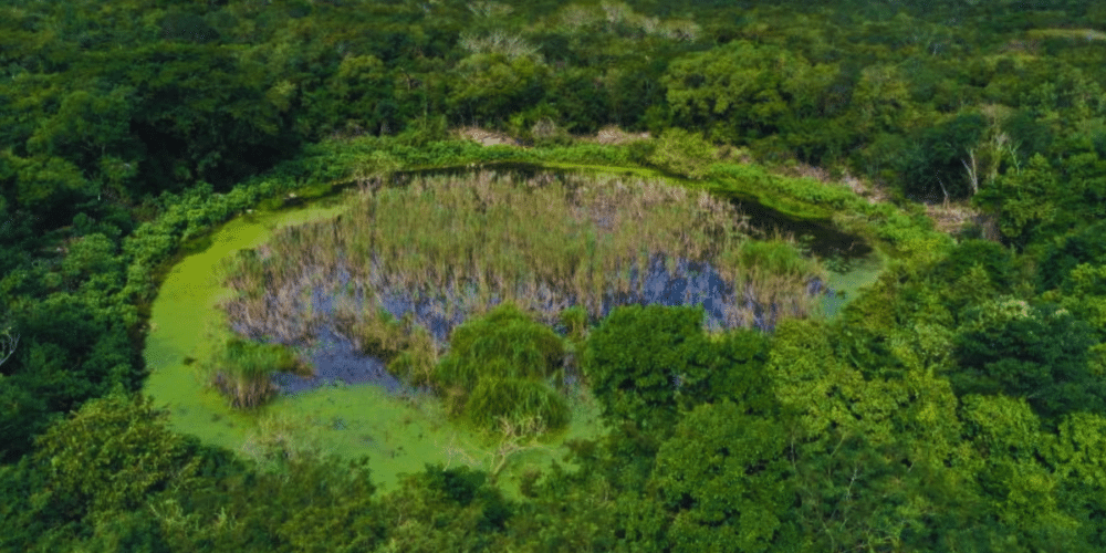 Descubren en Yucatán una nueva estructura palaciega oculta por siglos