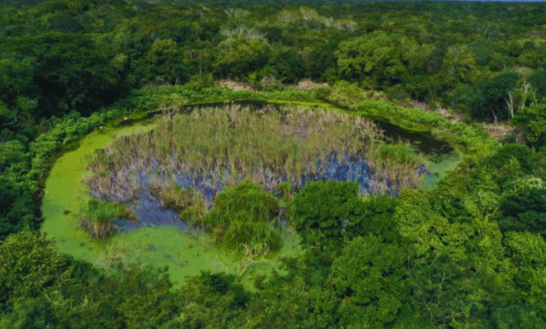 Descubren en Yucatán una nueva estructura palaciega oculta por siglos