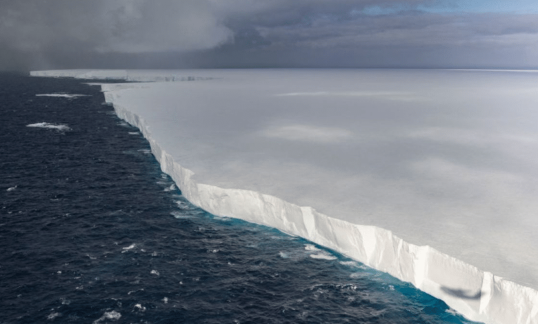 El iceberg más grande del mundo, A23a se detiene frente a Georgia del Sur