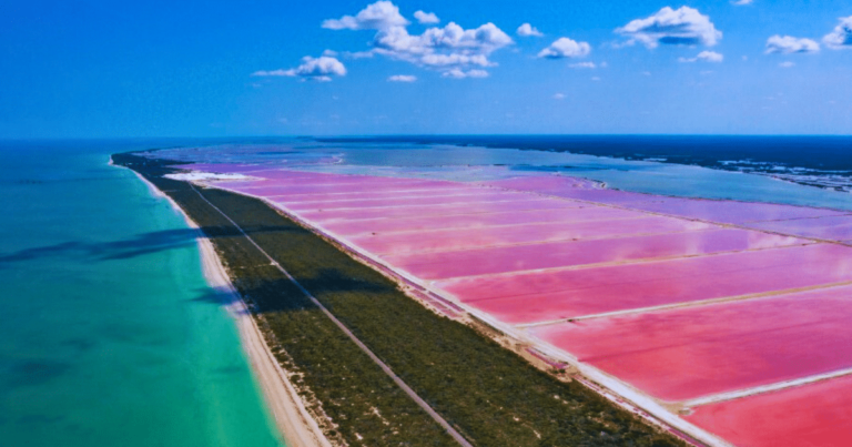 “Enamora” salinera de Las Coloradas