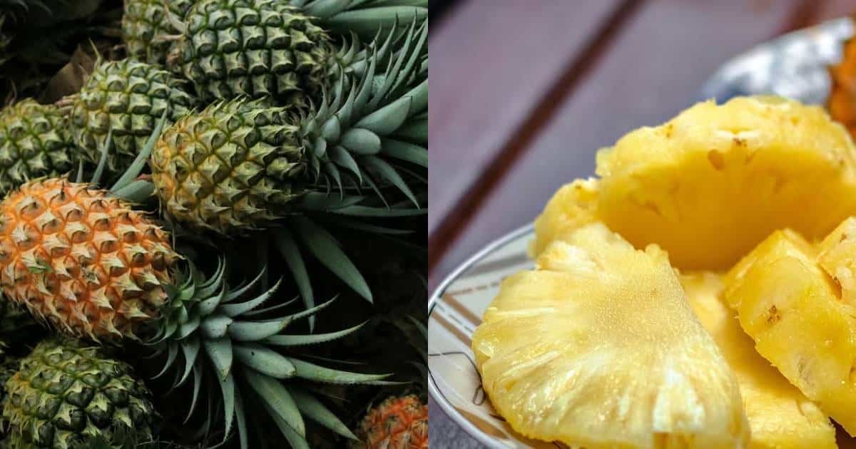 La piña escalda por esta razón