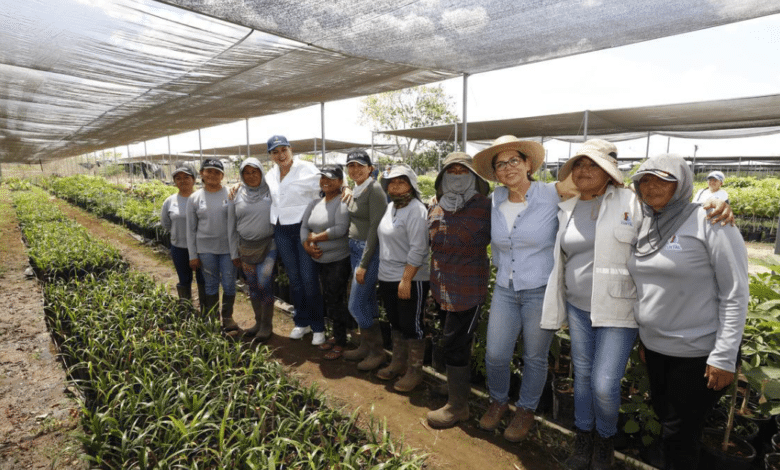 Más de 2 mil Air-Pots produce la Reserva Cuxtal