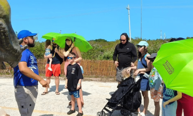 Turistas del Crucero Brilliance of the Seas Disfrutan de una Tarde Prehistórica en Sendero Jurásico