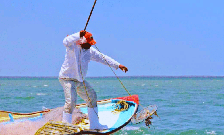 Yucatán Inicia de manera oficial la temporada de pesca de mero