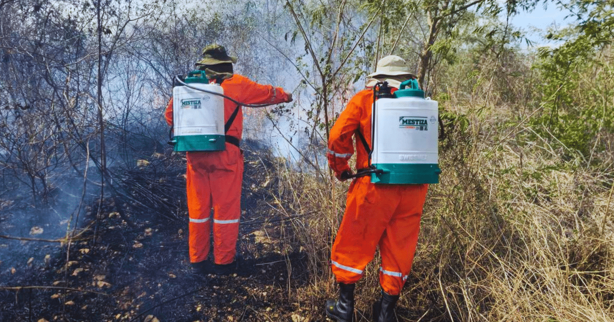 Altas temperaturas y vientos en abril elevan riesgo de incendios en Yucatán