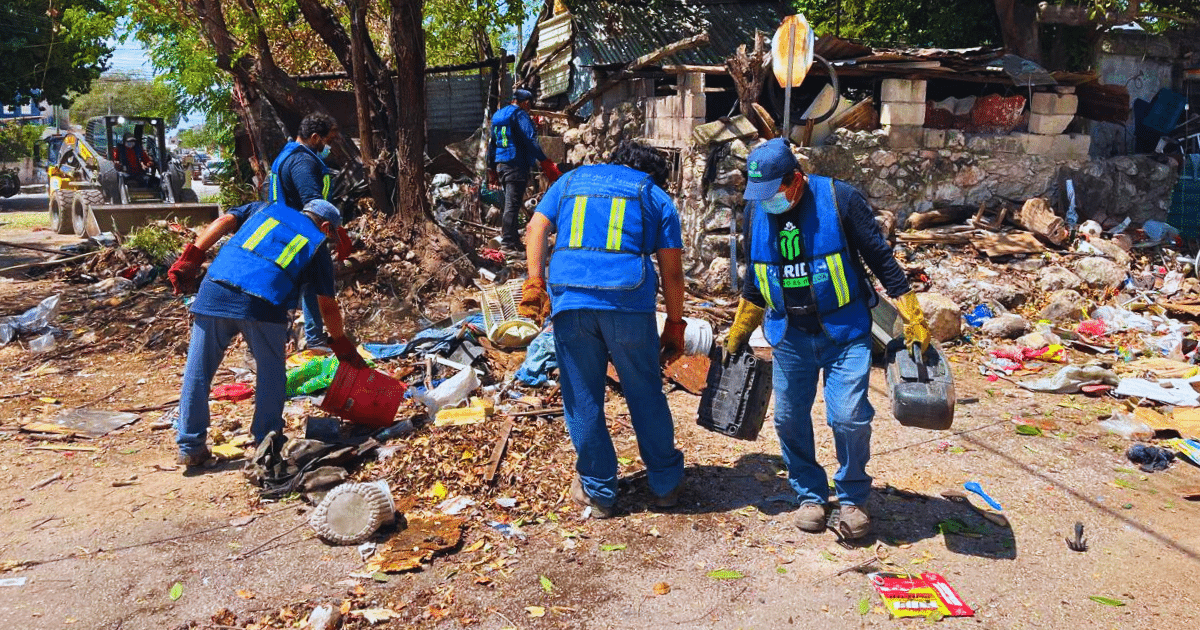 Ayuntamiento de Mérida retira 40 toneladas de residuos en megaoperativo