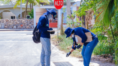 Brigadistas del Ayuntamiento se unen a la campaña estatal contra el mosquito del dengue