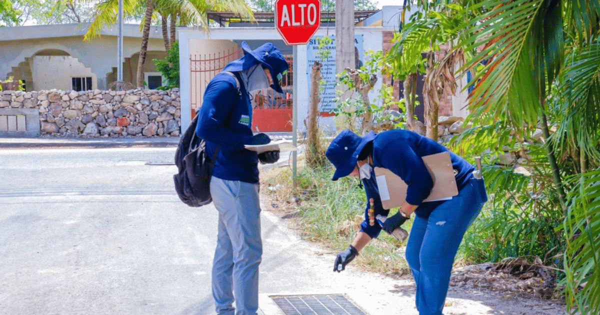 Brigadistas del Ayuntamiento se unen a la campaña estatal contra el mosquito del dengue