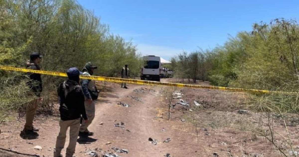 Colectivos localizan 11 nuevas fosas clandestinas en Sinaloa