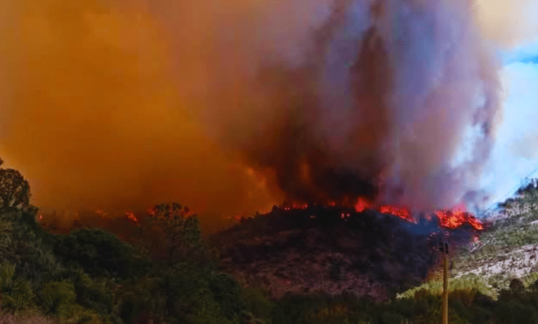 Incendio forestal en Atltzayanca, Tlaxcala devastadas más de mil hectáreas