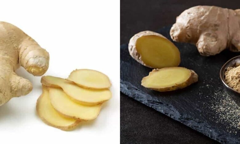 Ilustración: Redacción El Momento