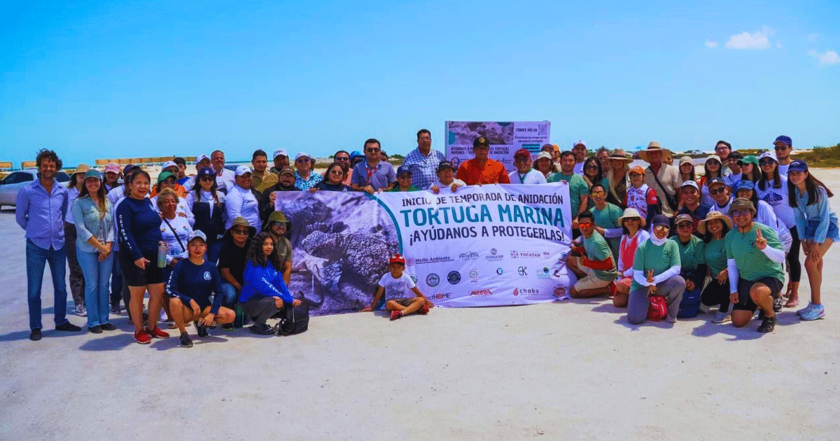 Progreso refuerza la protección de las tortugas marinas en su temporada de anidación
