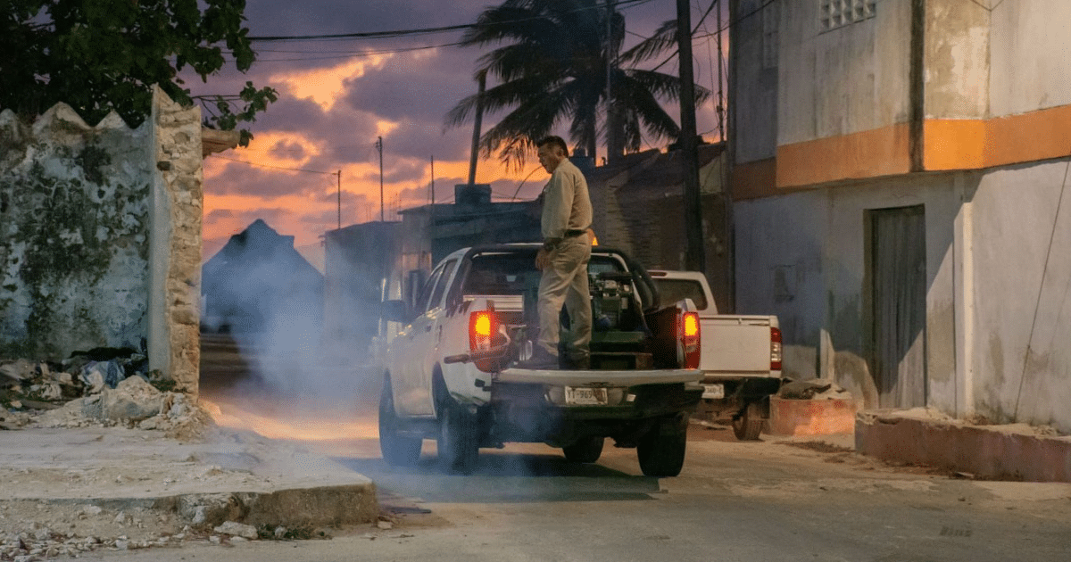 Refuerzan fumigación en la costa de Yucatán durante vacaciones para prevenir enfermedades