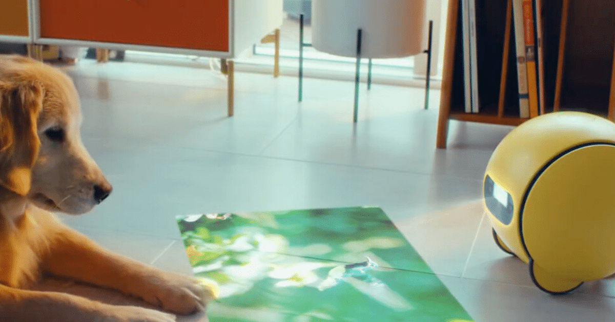 Ballie contará con funciones como Pet Care (Foto por Xataka)