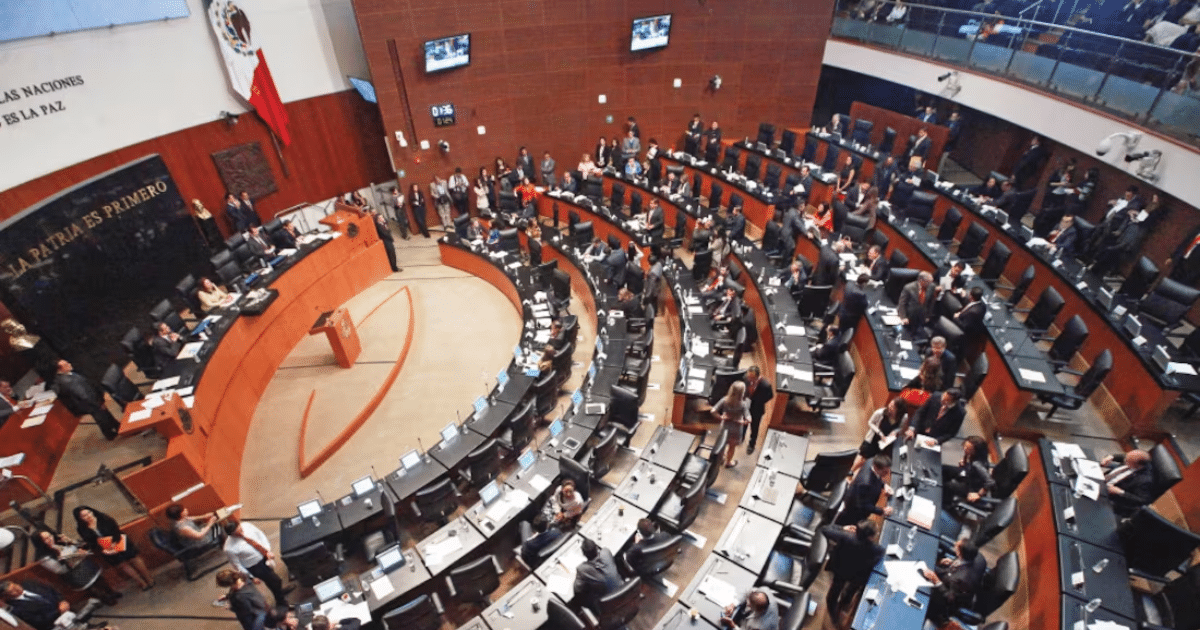 dictamen,México,recursos,organismo,internacional