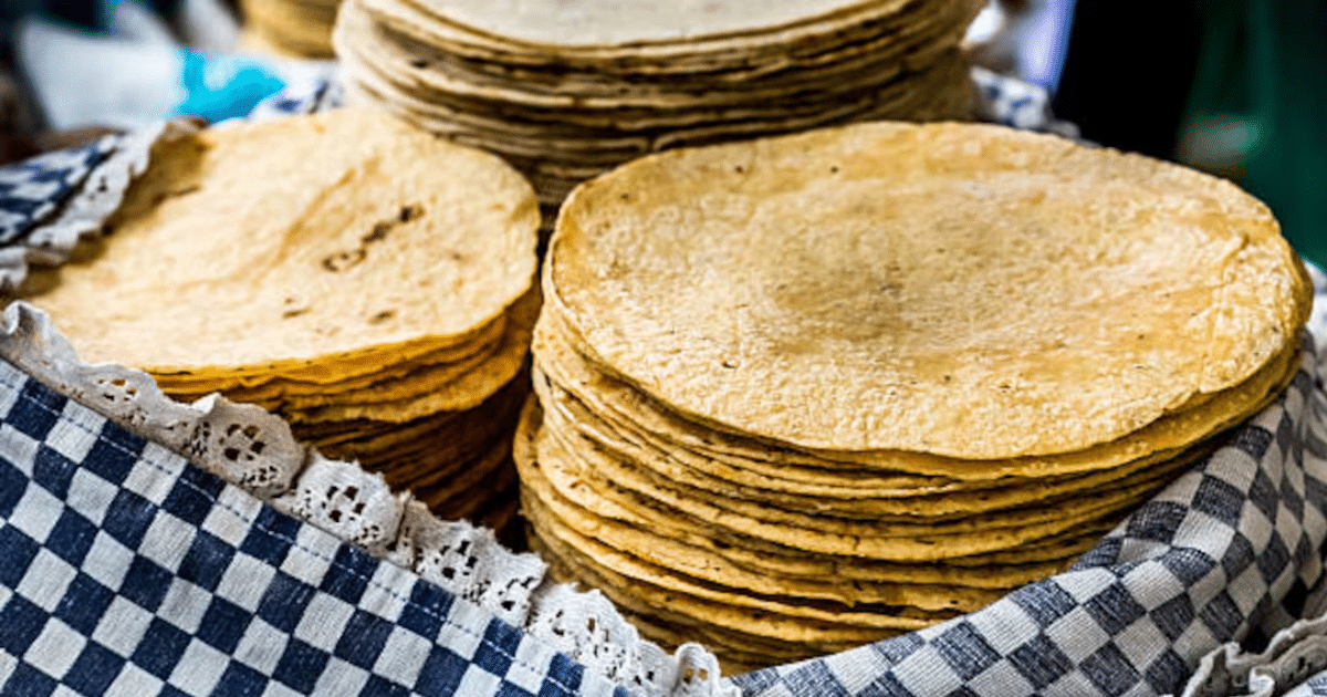 Gastronomía,Tortillas,México,Ingrediente