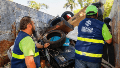 Ayuntamiento de Mérida recolecta 190 toneladas de residuos con Contenedores Verdes