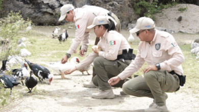 Ayuntamiento de Mérida refuerza seguridad con guardaparques