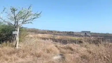Controlan incendio de arbustos cerca de Celestún sin riesgo para la población