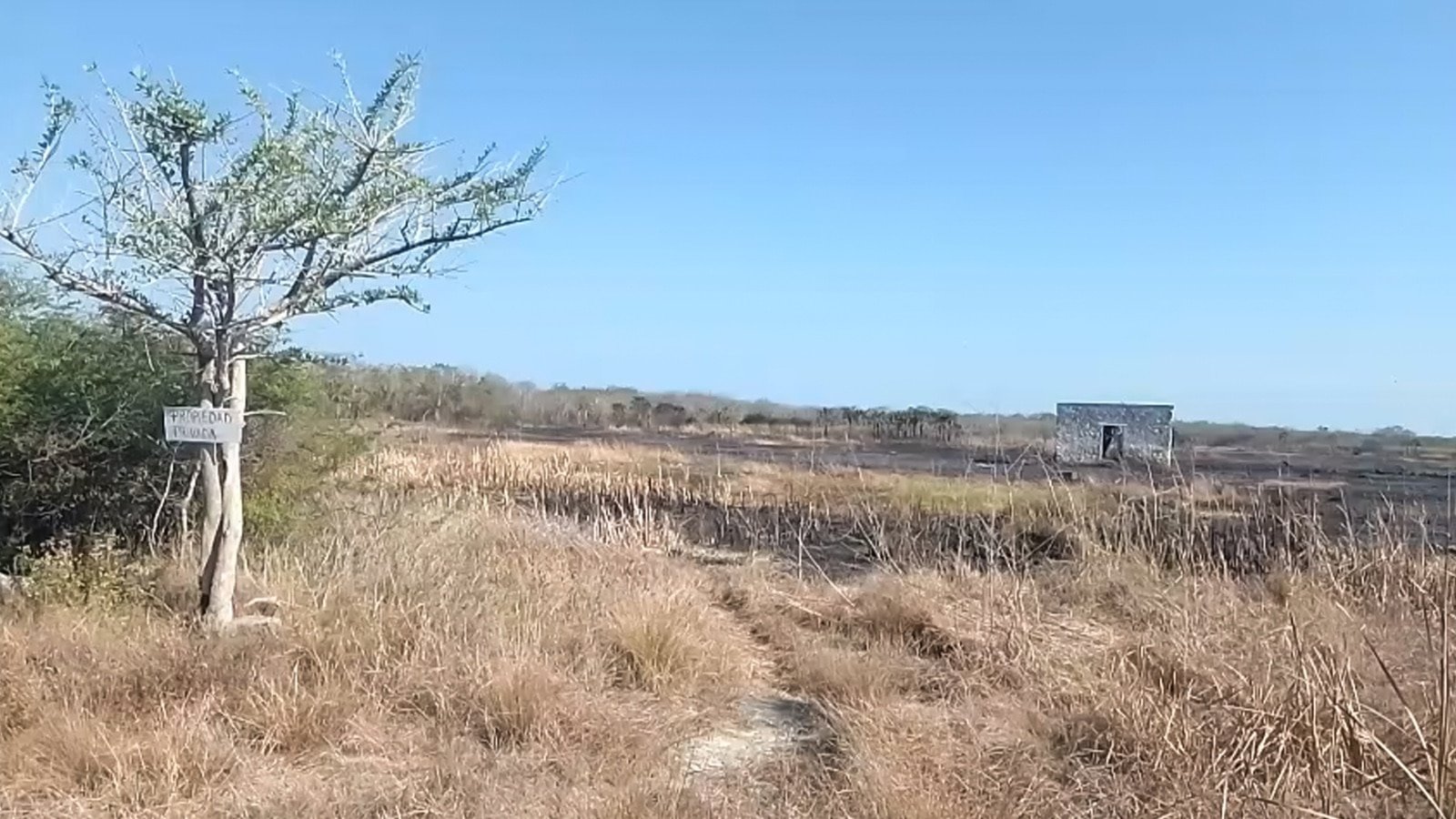 Controlan incendio de arbustos cerca de Celestún sin riesgo para la población