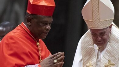  Fridolin Ambongo Besungu nació en el seno de una familia humilde en Boto, en la provincia de Nord Ubangi, en República Democrática del Congo (RDC), en una familia católica, y uno de 11 hermanos.