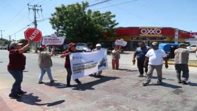 Personas participantes en una jornada de educación vial en Yucatán sostienen carteles con mensajes como “Alto” y “El peatón es primero”, en un cruce peatonal frente a un OXXO.