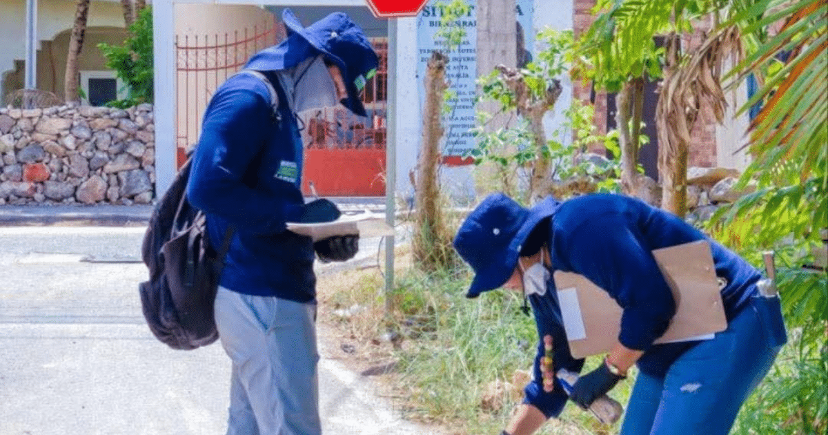 “Mérida Limpia en tu Colonia” intensifica la lucha contra el dengue
