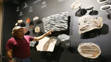 Guía del Museo del Meteorito en Yucatán muestra fósiles durante recorrido educativo.