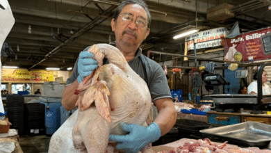 Ola de calor en Yucatán elevaría precios del pollo y pavo