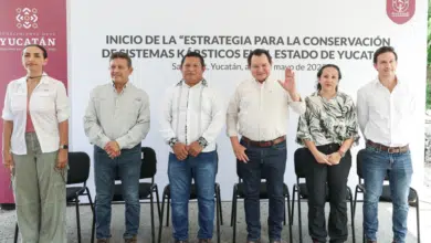 Sanearán 20 cenotes prioritarios en Yucatán durante 2025