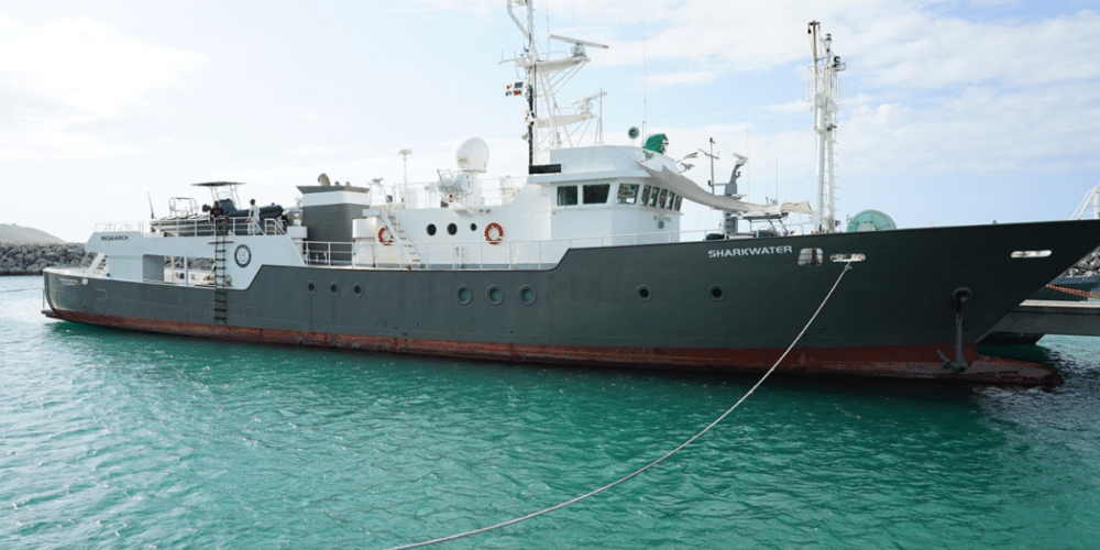 Sharkwater, el buque de Canadá que arribó a Progreso para proteger los mares de Yucatán