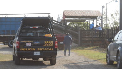Velador dispara a presunto ladrón en rancho de la Mérida-Tizimín