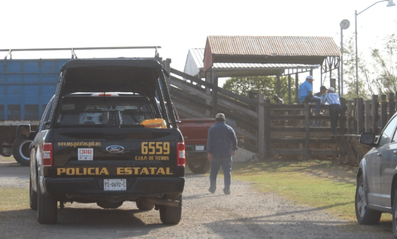 Velador dispara a presunto ladrón en rancho de la Mérida-Tizimín