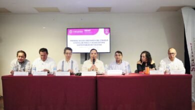 Yucatán refuerza pesca sustentable con seguridad en el mar y repoblación del mero