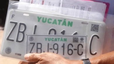 Yucatán: Descubre las fechas y requisitos para el reemplacamiento vehicular 2025