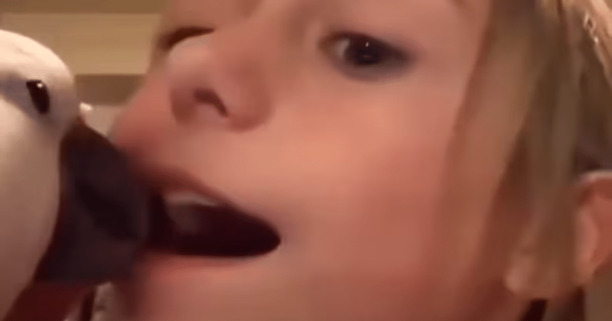 ¡Un loro como odontólogo! El increíble video viral de una niña pidiendo ayuda para sacar su diente