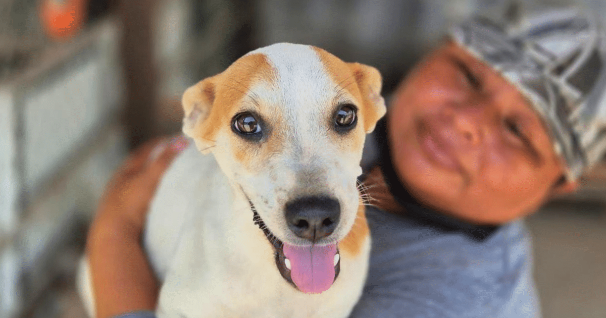 Adopta un lomito en Progreso