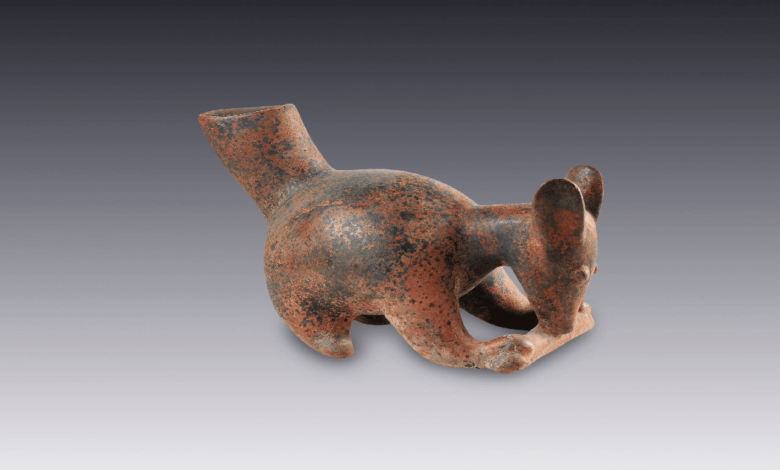 Coatíes de barro_ el arte que da vida a la fauna mexicana