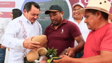 Destinan 40 mdp a construcción de caminos sacacosechas en el sur de Yucatán