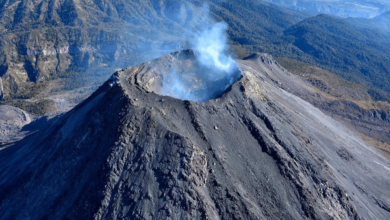 El Parque Nacional Nevado de Colima santuario natural entre fuego y nieve