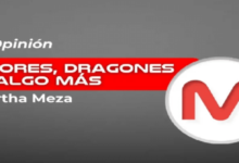Flores, dragones y algo más… (1)