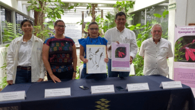 Herbario del CICY se renueva con más espacio, digitalización y compromiso con la biodiversidad