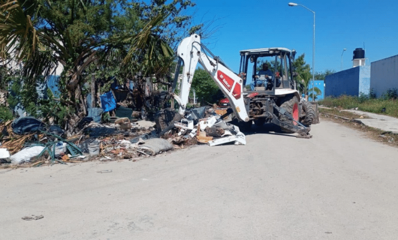 Mérida tendrá Policía Ecológica y multas más altas por tirar basura