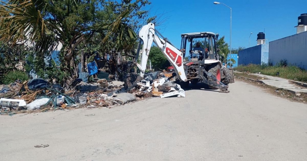 Mérida tendrá Policía Ecológica y multas más altas por tirar basura