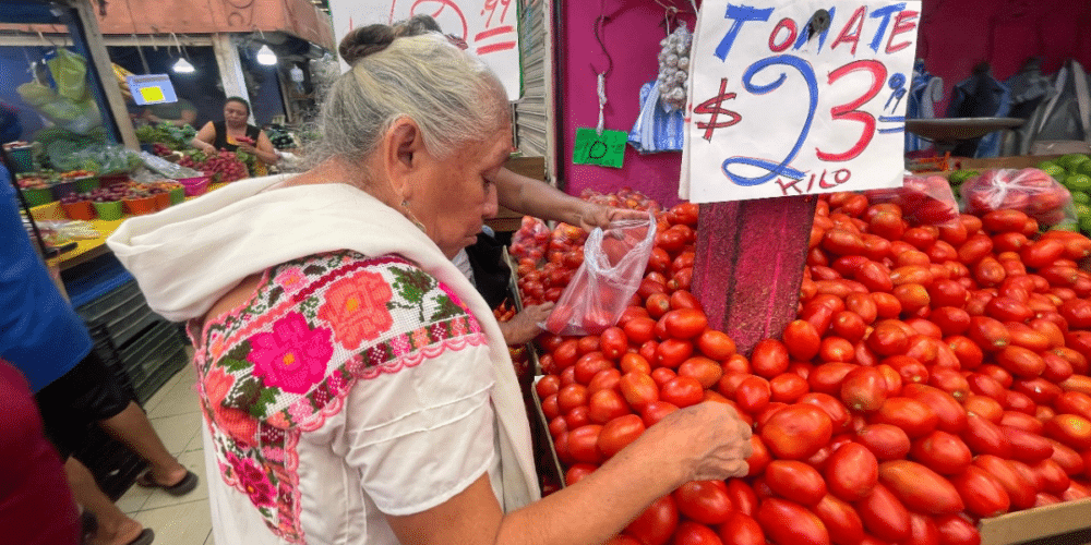 Precio del tomate en Yucatán registra un aumento récord del 155.56%