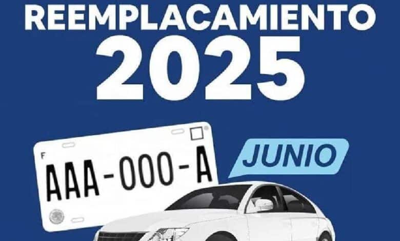 Inicia reemplacamiento 2025 en Progreso con módulo local