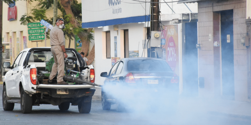 Yucatán elimina 110 toneladas de criaderos de moscos con campaña ciudadana