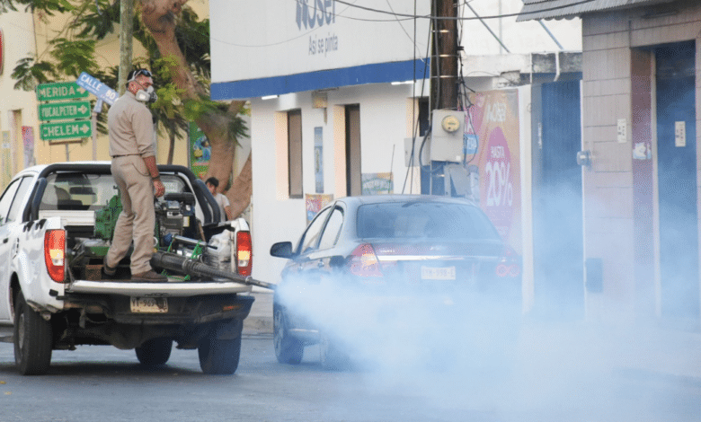Yucatán elimina 110 toneladas de criaderos de moscos con campaña ciudadana