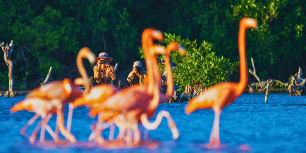 Yucatán lanza 22 campañas internacionales para posicionarse como destino turístico global