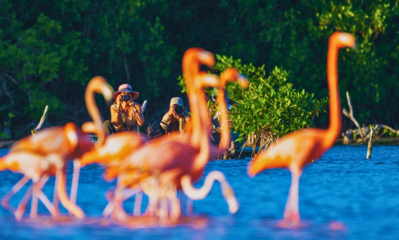 Yucatán lanza 22 campañas internacionales para posicionarse como destino turístico global